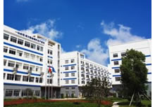 新能源汽车软连接客户